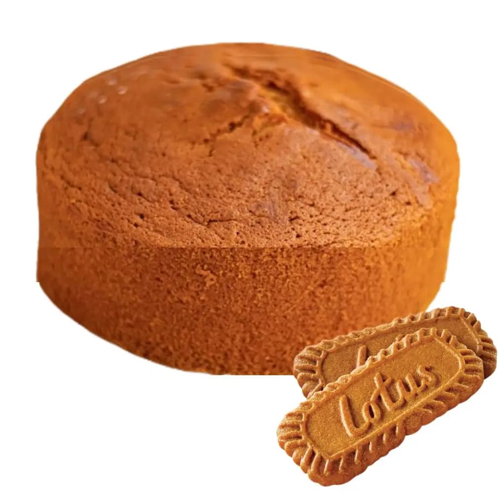 Lotus Biscoff Sponge